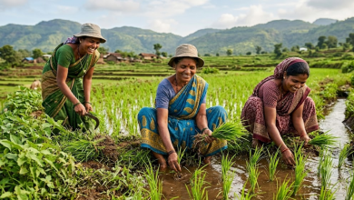 Maharashtra Women Farmers