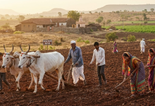 Farmers