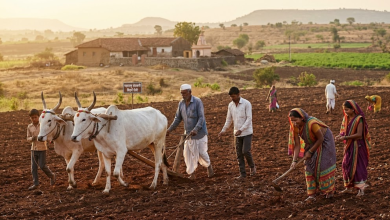 Farmers